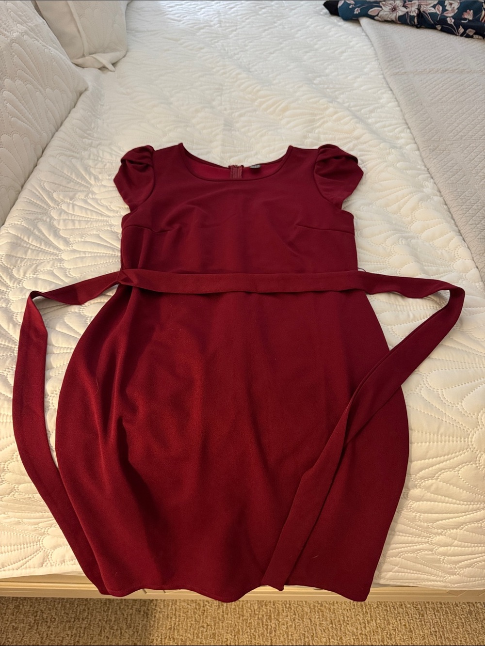 SHEIN Deep Red Scoop Neck Dress with Back Zip